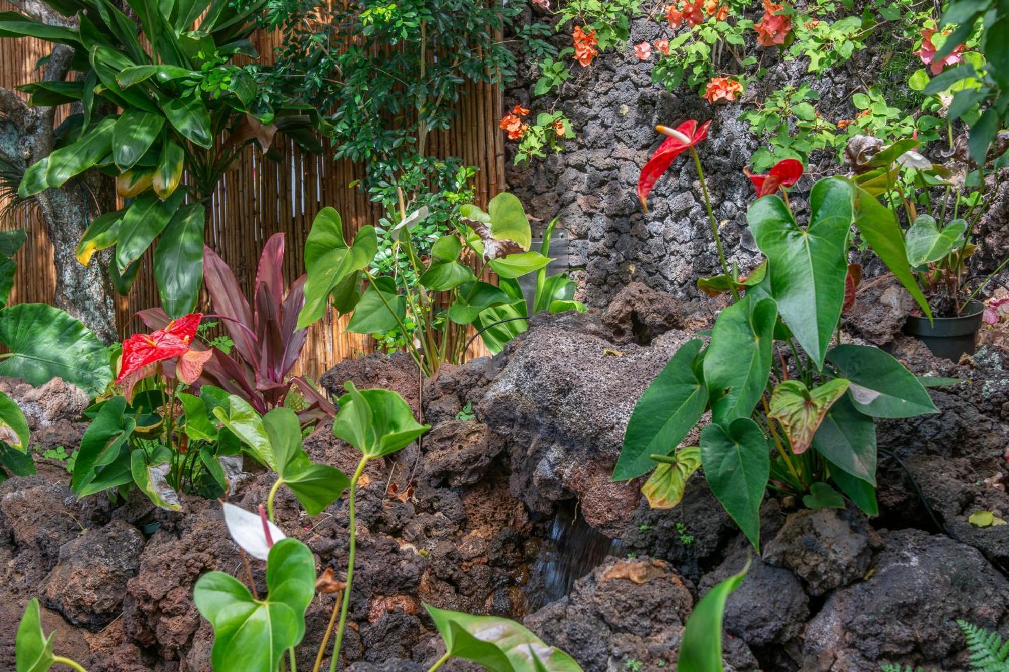 Napili Surf Beach Resort By Castle Kapalua Bagian luar foto