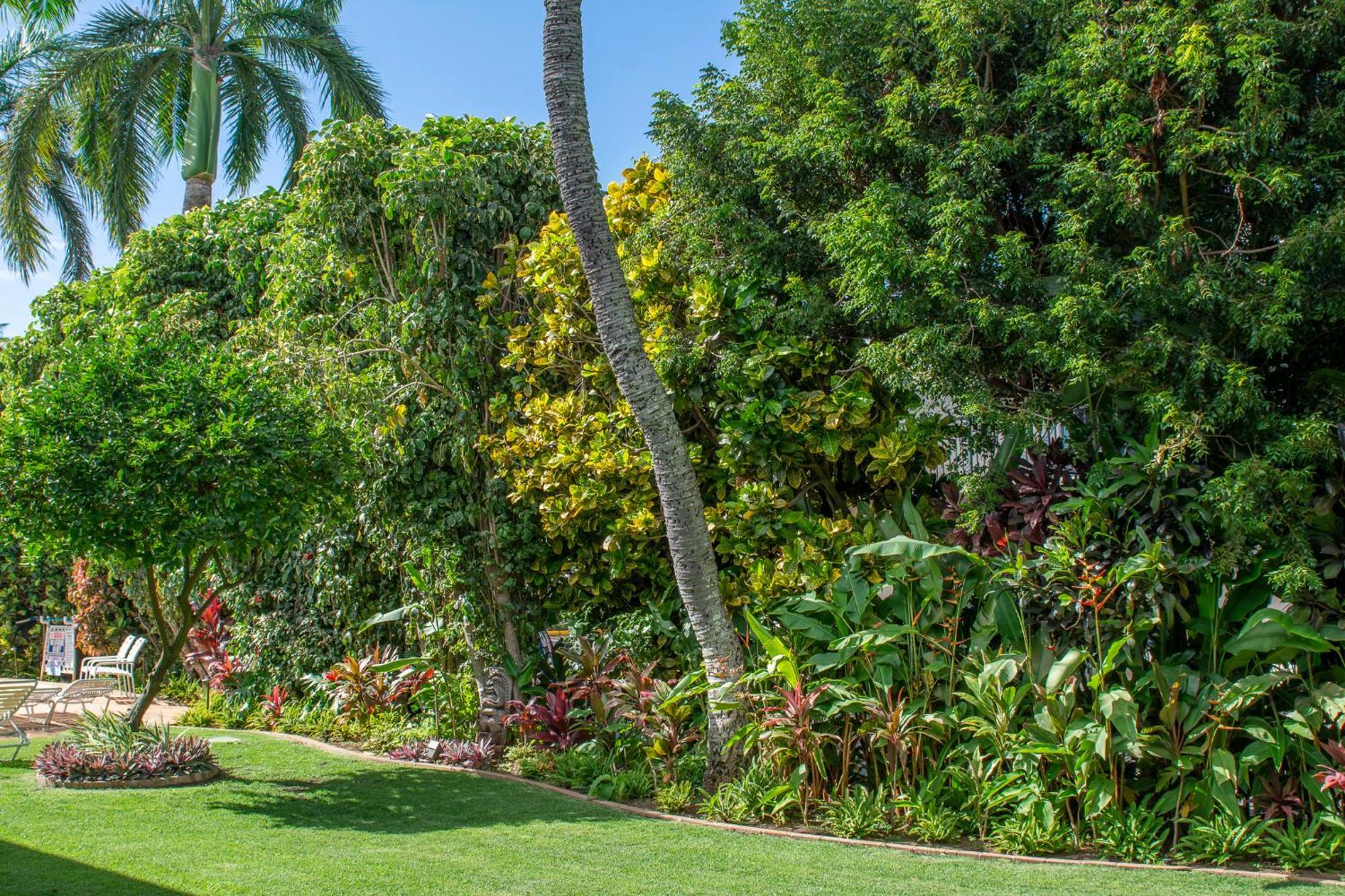 Napili Surf Beach Resort By Castle Kapalua Bagian luar foto